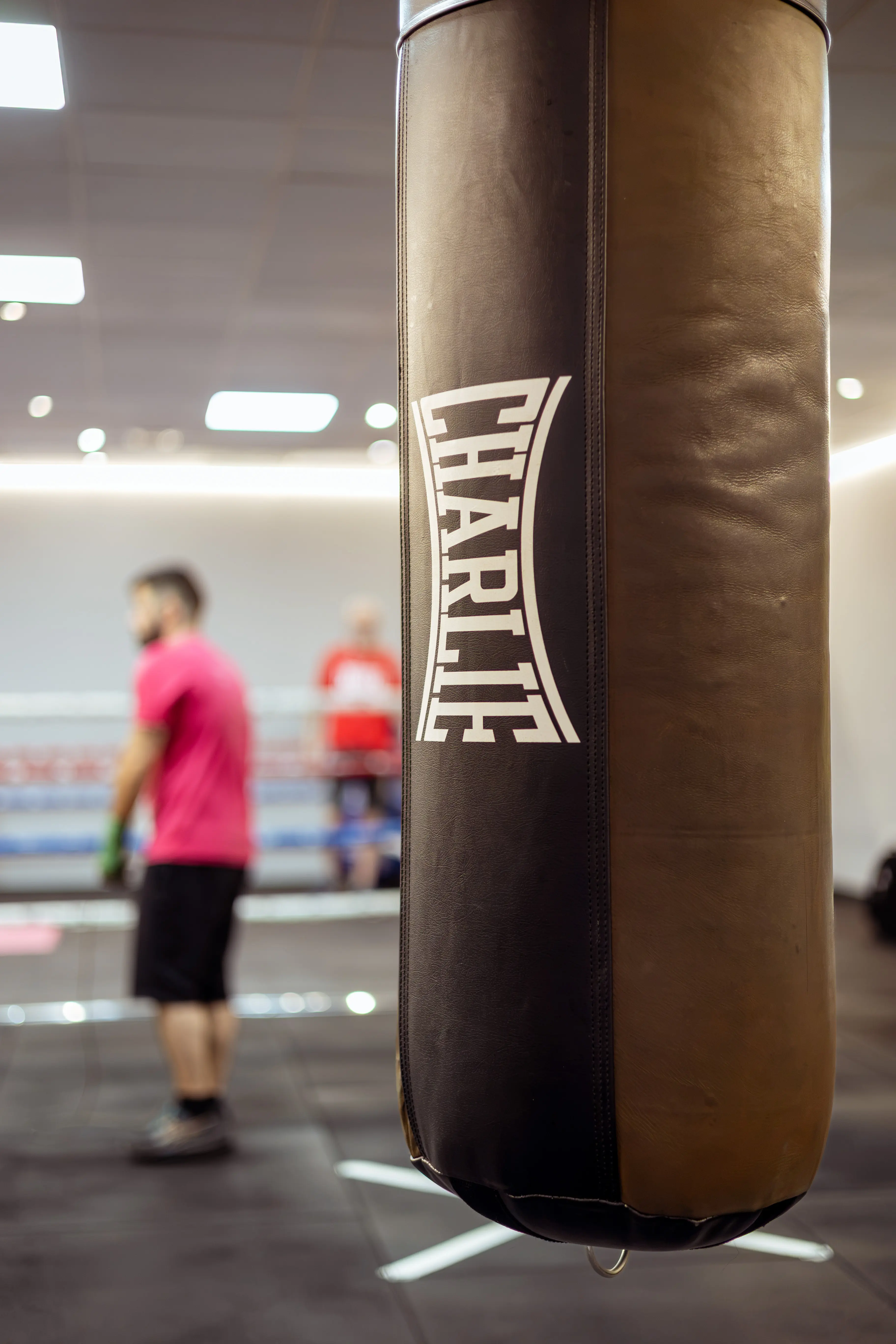 Boxeo